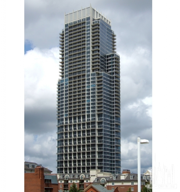 The Vue