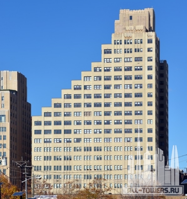 The Criterion