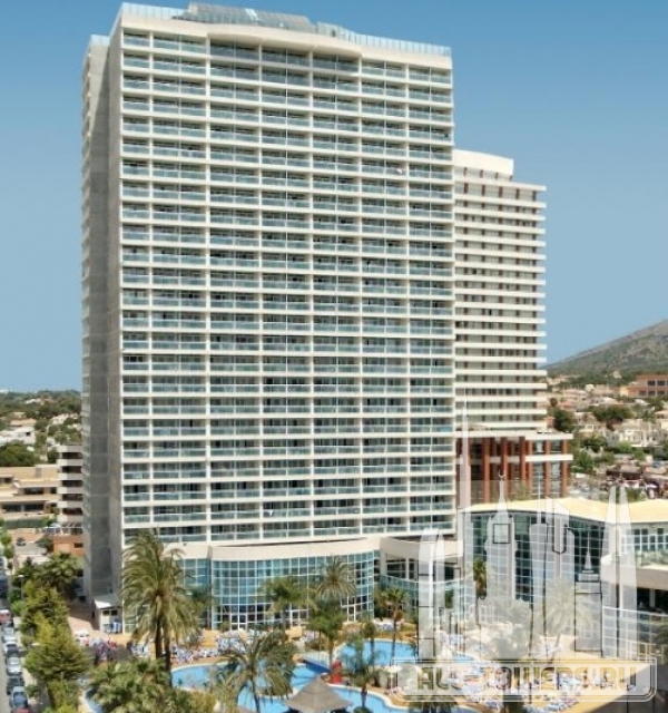 Hotel Flamingo Oasis