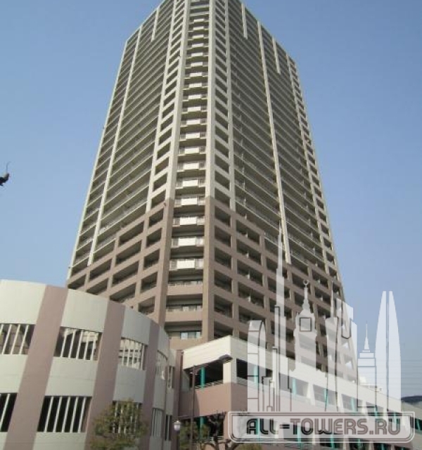 View Sight Tower