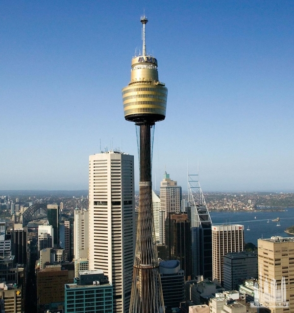 sydney tower