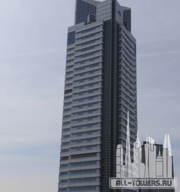Mizuno Crystal Building