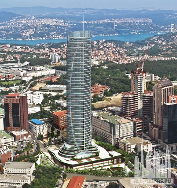 Spine Tower
