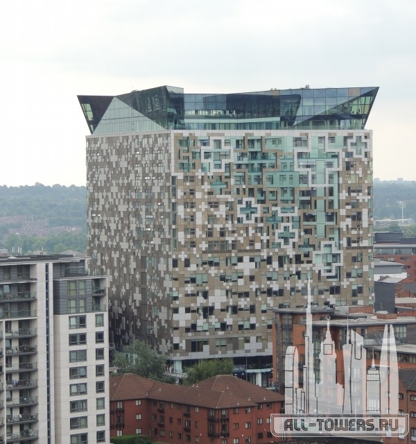 the cube
