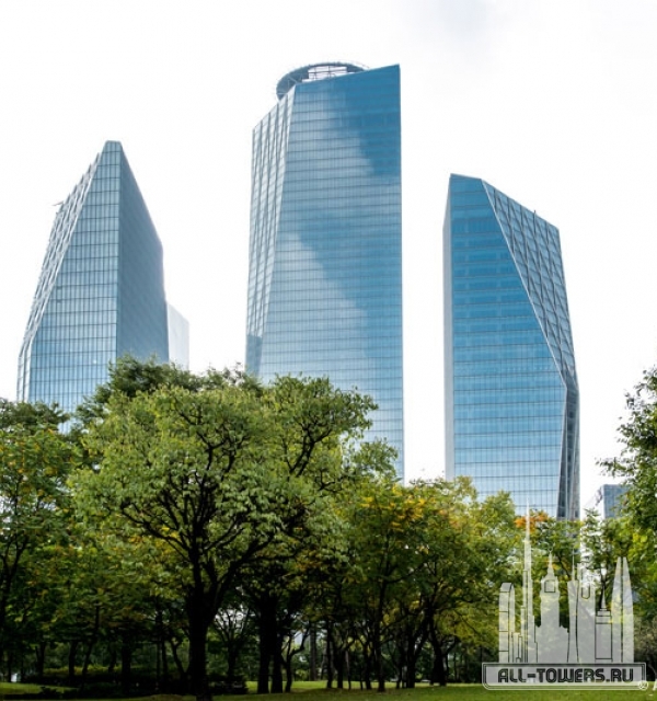 three international finance center (третий международный финансовый центр)