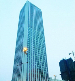 Vertical City
