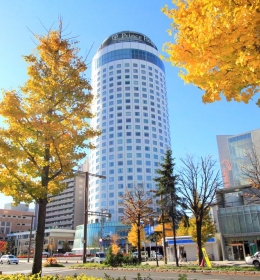 Sapporo Prince Hotel Tower