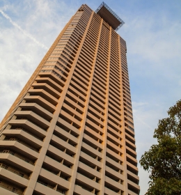 The Lions Mid Capital Tower
