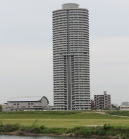 The Scene Johoku