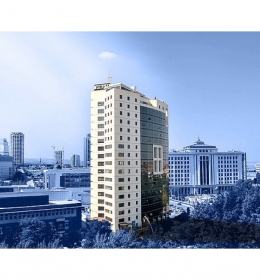Ak Plaza