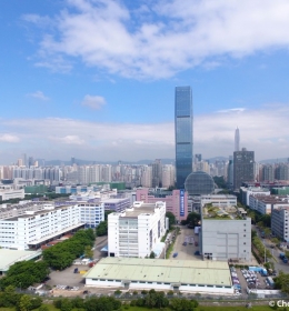 Chang Fu Jin Mao Tower (Башня Чан Фу Цзинь Мао)