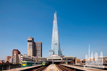 Без названия (3)