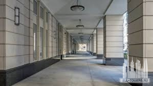 Без названия