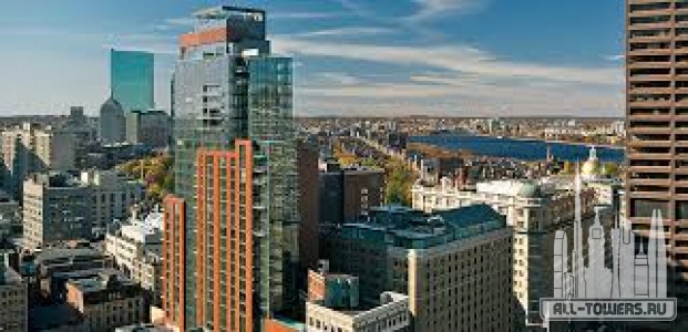 Без названия