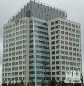 Без названия