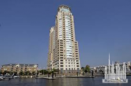 Без названия