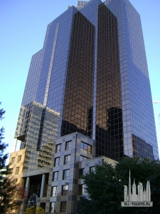 Без названия (1)