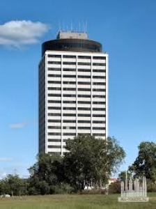 Без названия (1)