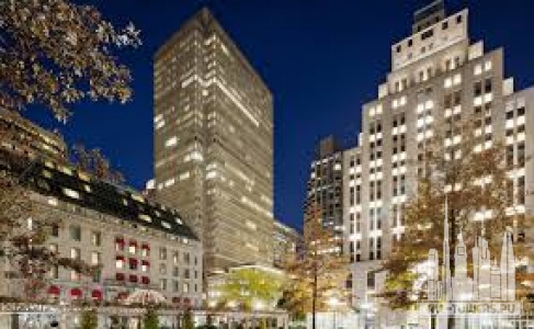 Без названия