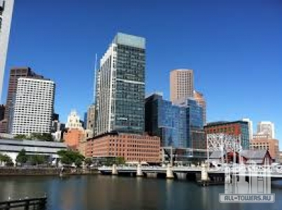 Без названия