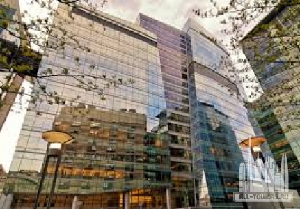 Без названия