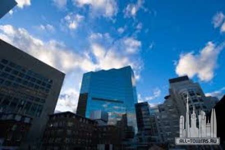 Без названия