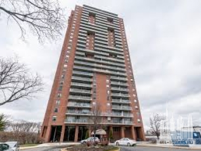 Без названия