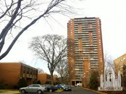 Без названия (1)