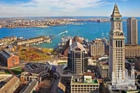 Без названия