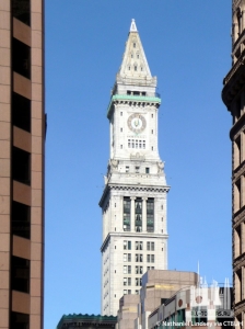 marriott-s-custom-house_nathaniel-lindsey2