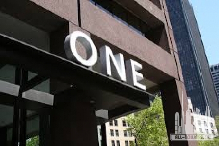 Без названия