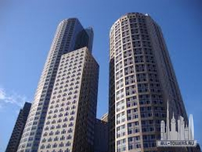 Без названия