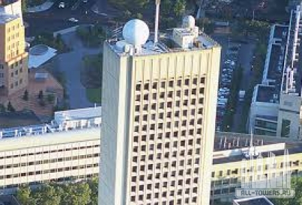 Без названия