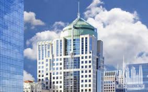 Без названия