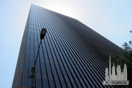 Без названия (1)