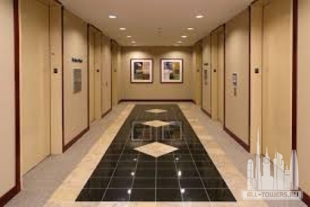 Без названия (2)