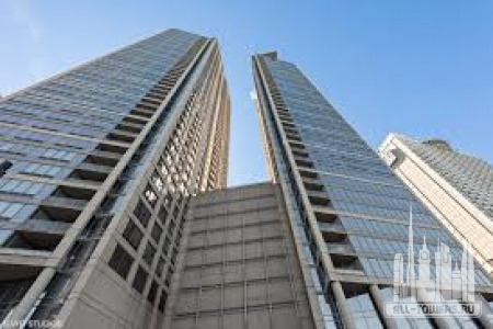 Без названия