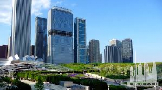 Без названия (1)