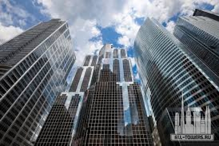 Без названия