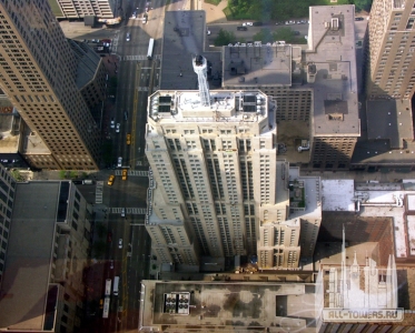 palmolive_lookdown_mg