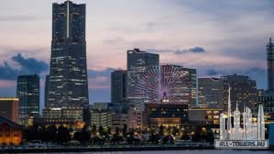 Без названия (1)