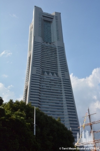 landmark-tower_terri-meyer-boake9