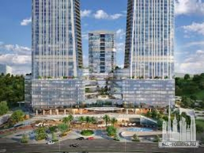 Без названия (1)