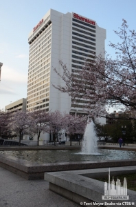 sheraton-nashville-downtown_terri-meyer-boake5