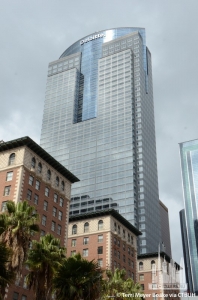 deloitte_terri-meyer-boake3