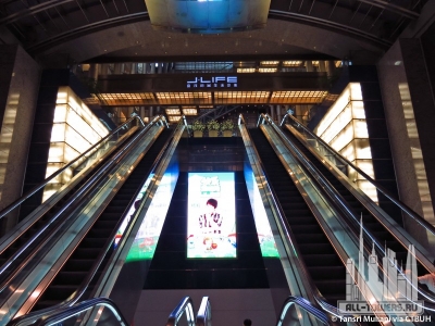 jinmao_int-escaltors(c)tm