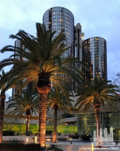 westin-bonaventure-hotel_terri-meyer-boake6