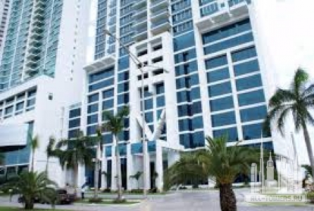 Без названия (1)