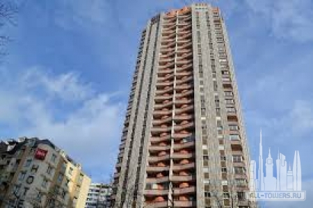 Без названия