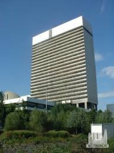 Без названия (3)